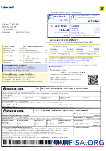 Blank BRASIL BANCO DO BRASIL utility bill Word and PDF template